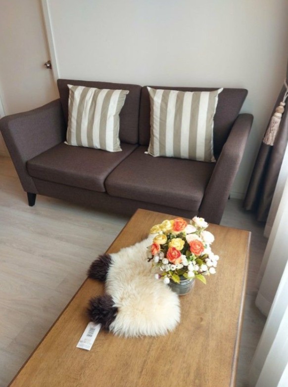 Aspire Sathorn–Tha Phra ติดรถไฟฟ้า ตลาดพลู ชั้นสูง วิวโล่ง อากาศถ่ายเทดี