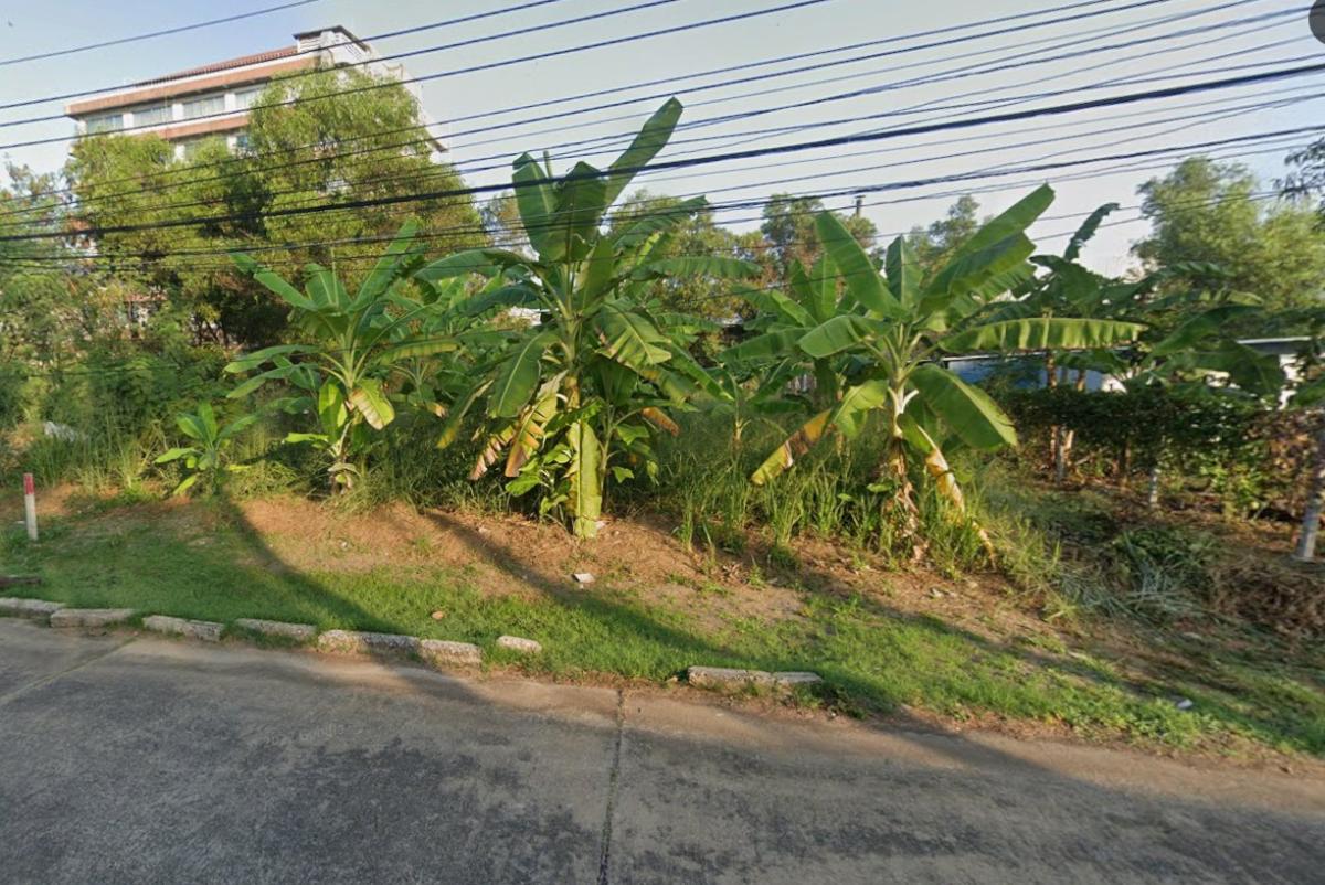 ขายที่ดิน หลักหก รังสิต ปทุมธานี ใกล้ มหาวิทยาลัยรังสิต สนามกอลฟ์